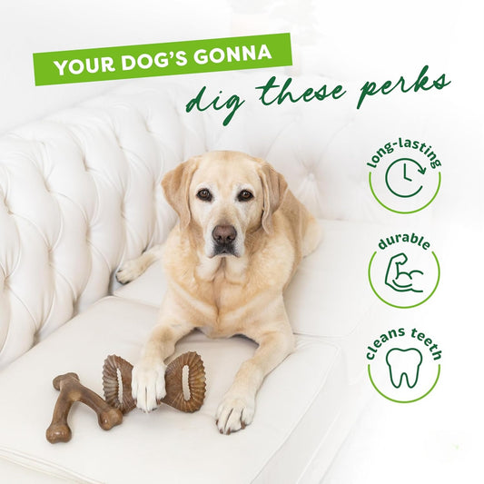 2-piece sturdy teeth-tearing dog chew toy, specially designed for dogs that love chewing. Made of real bacon, manufactured in the USA, medium size.