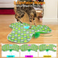Interactive cat toy - Rechargeable, hidden moving feathers, realistic mouse sound toy, touch-activated kitten play toy, suitable for adult cats that get bored indoors.