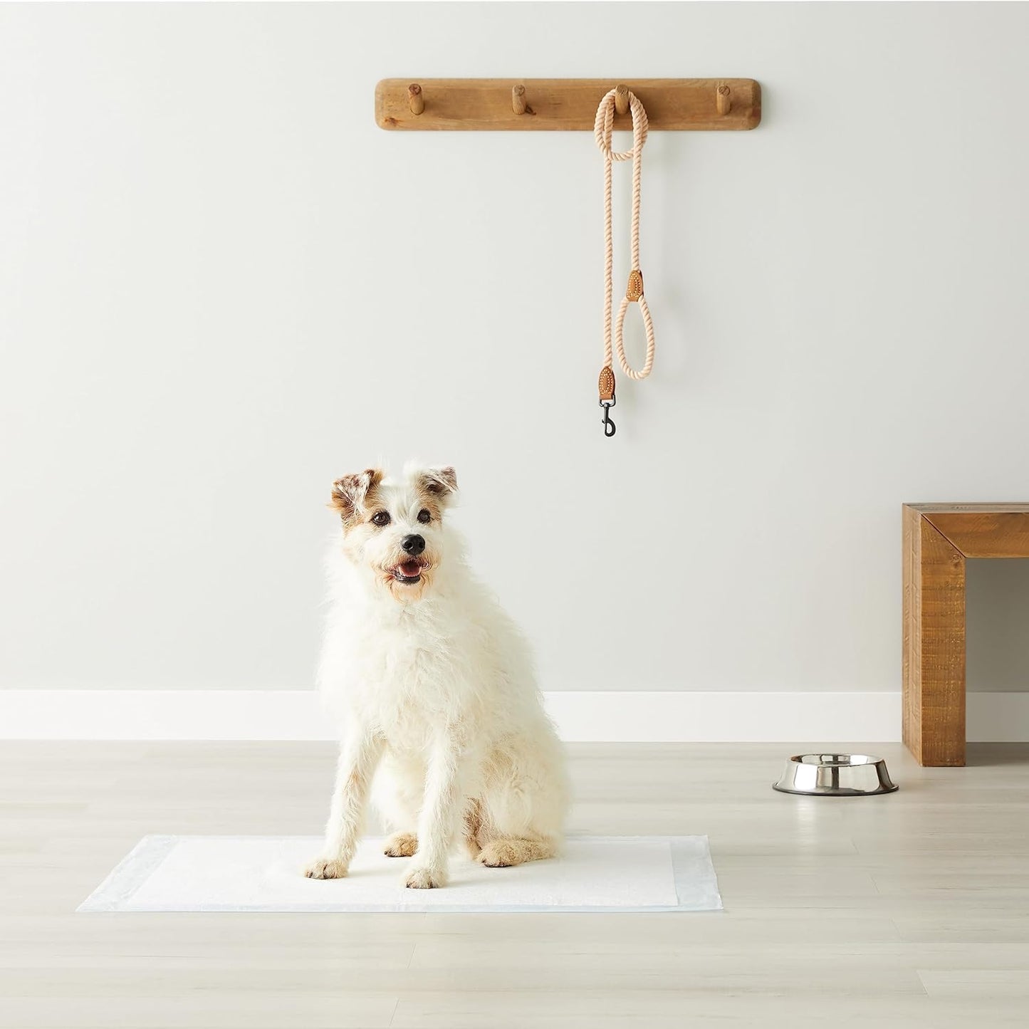 Basic leak-proof dog and puppy toilet training pad. Quick and dry five-layer design, large size (28 x 34 inches), blue and white color, 40 packs per box