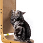 L-shaped cat scratching post, 26.8-inch indoor cat scratching post, cat scratching pad that protects furniture, cardboard cat scratching post with spherical toys, cat mint, large size