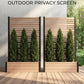 6ft Wood & Metal Privacy Planter with Trellis